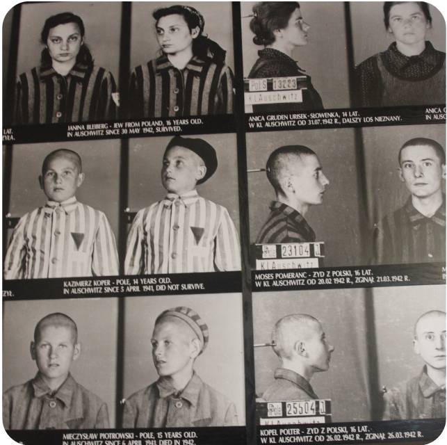 Jewish mugshots from Auschwitz during WWII and Holocaust